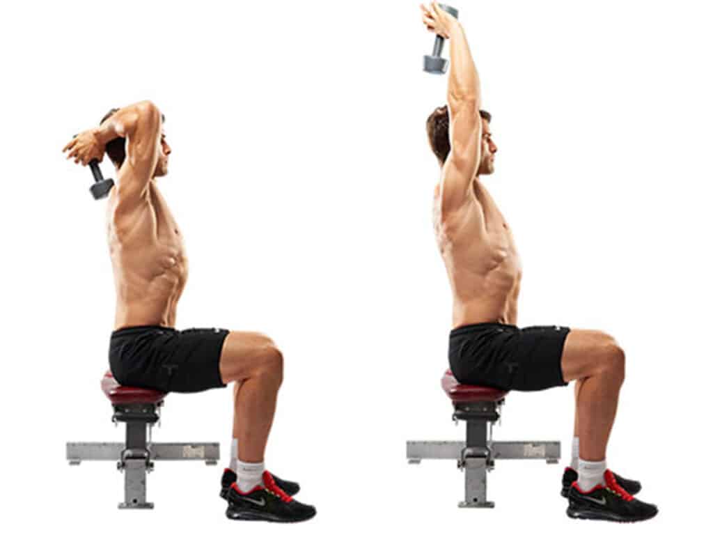 Extension des triceps avec haltères en position assise