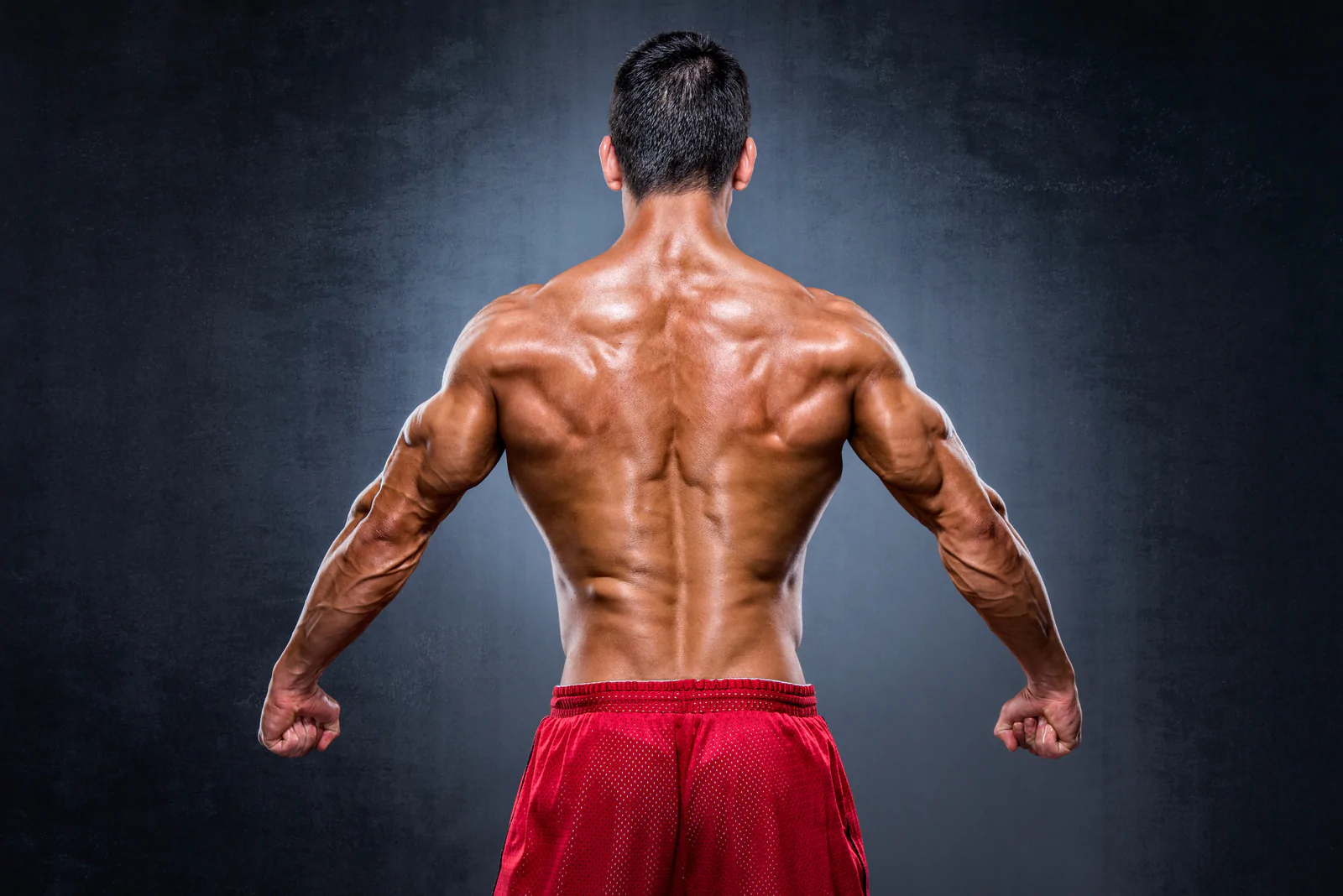 programmes d'entraînement pour développer rapidement votre dos