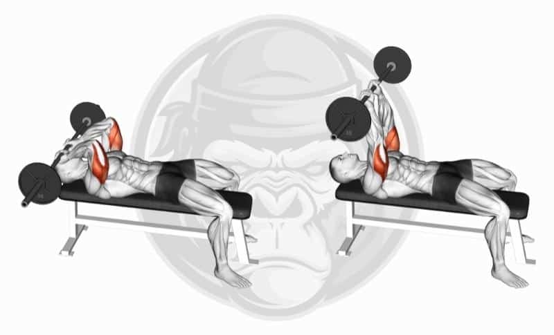 Meilleurs exercices pour le triceps avec tête médiale - Extension du triceps en position couchée avec prise inversée