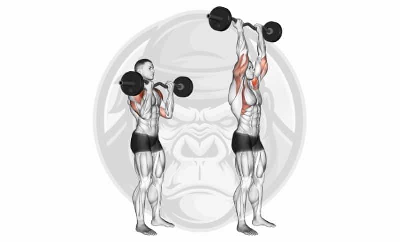 Meilleurs exercices pour triceps avec tête latérale - Overhead Tricep Press