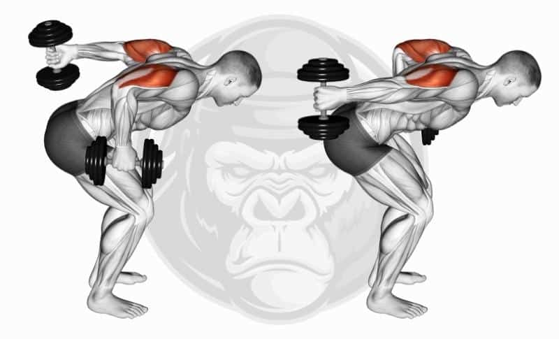 Meilleurs exercices pour les triceps avec tête latérale - Tricep Kickbacks