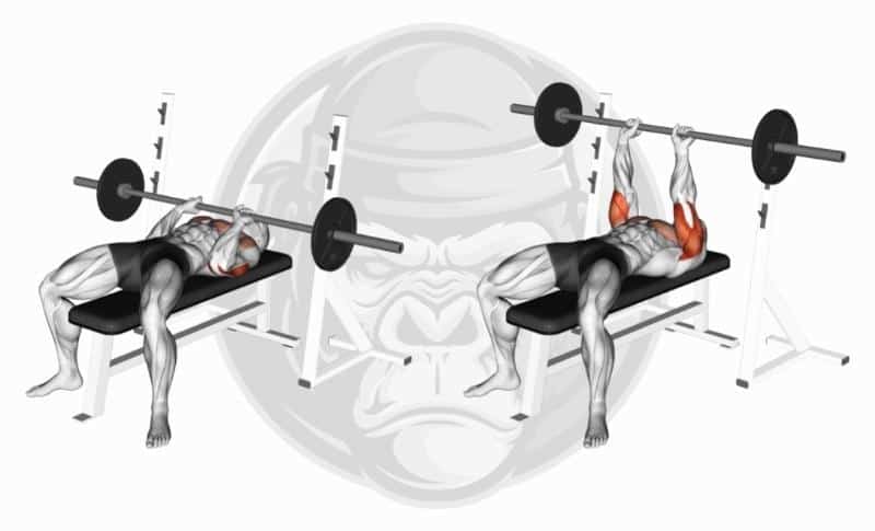Meilleurs exercices pour triceps avec tête latérale - Développé couché avec prise serrée