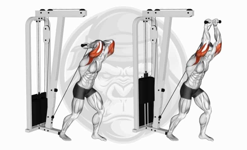Meilleurs exercices pour les triceps avec tête longue - Extension du triceps par câble au dessus de la tête