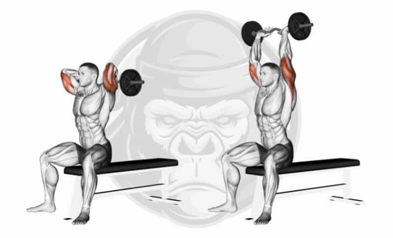 Meilleurs exercices pour triceps avec tête longue - EZ Bar Overhead Tricep Extensions