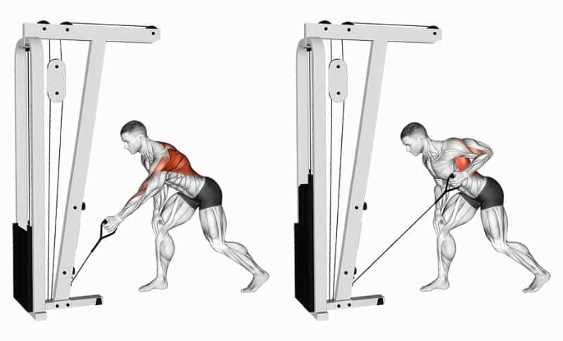 Meilleurs exercices pour les omoplates - Reach and Rows