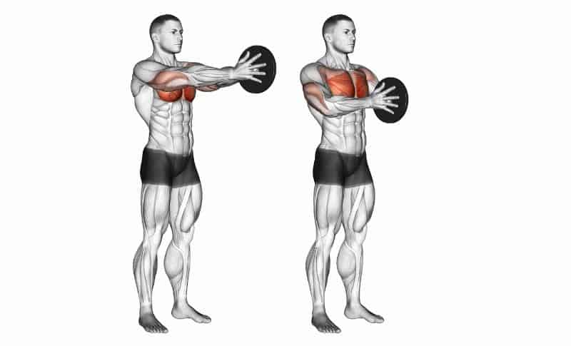 Meilleurs exercices de pliométrie - Medicine Ball Chest Press