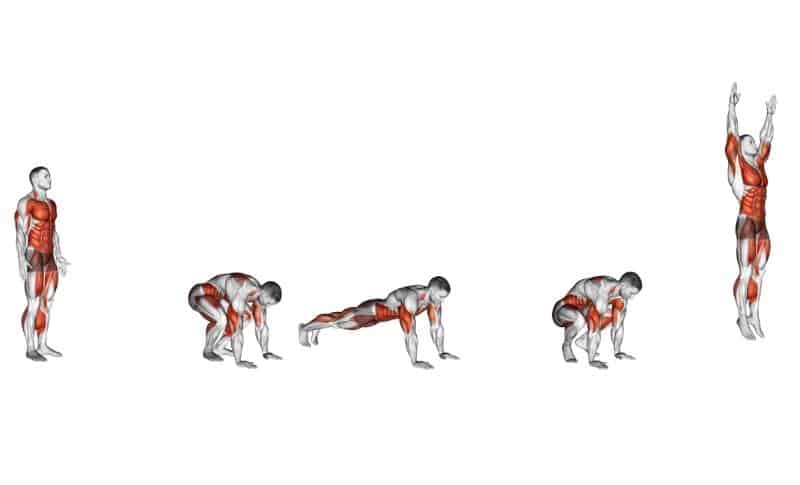 Meilleurs exercices de pliométrie - Burpees