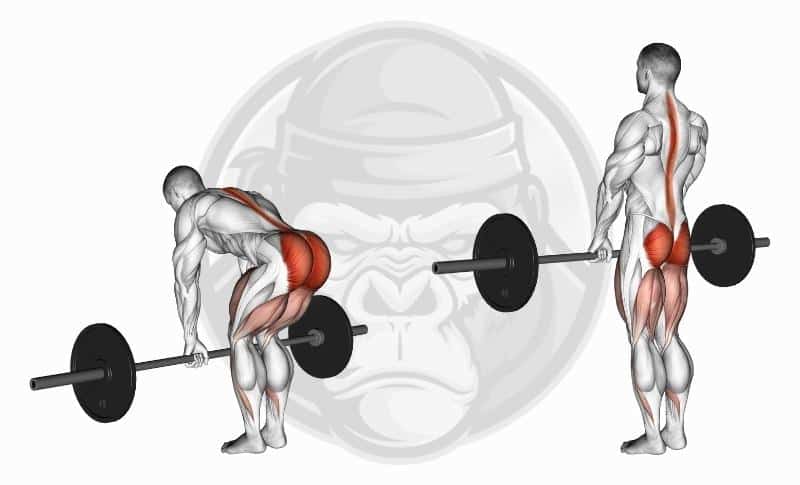 Meilleurs exercices pour les fessiers - Deadlifts roumains