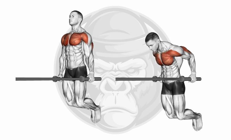 Meilleurs exercices pour les triceps - Flexion des triceps