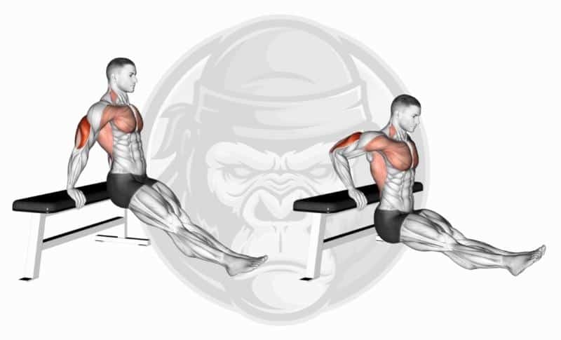 Meilleurs exercices pour les triceps - Flexion du banc