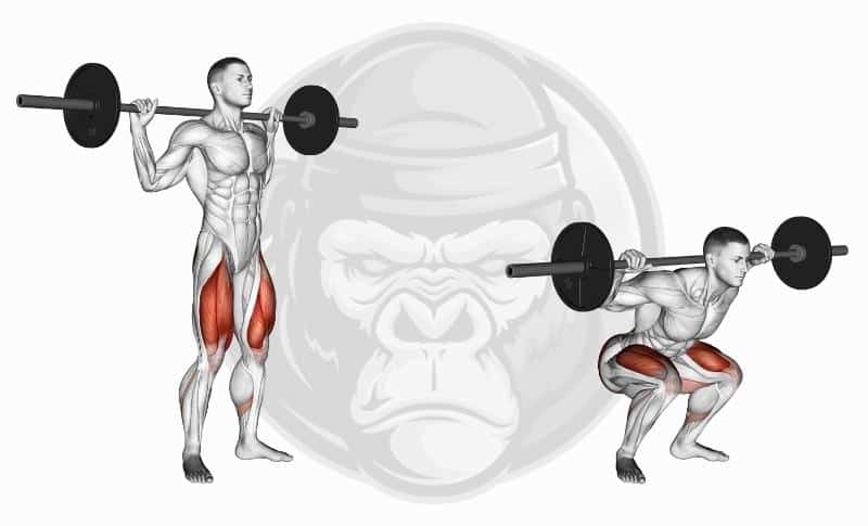 Meilleurs exercices avec barre de musculation - Squats arrière