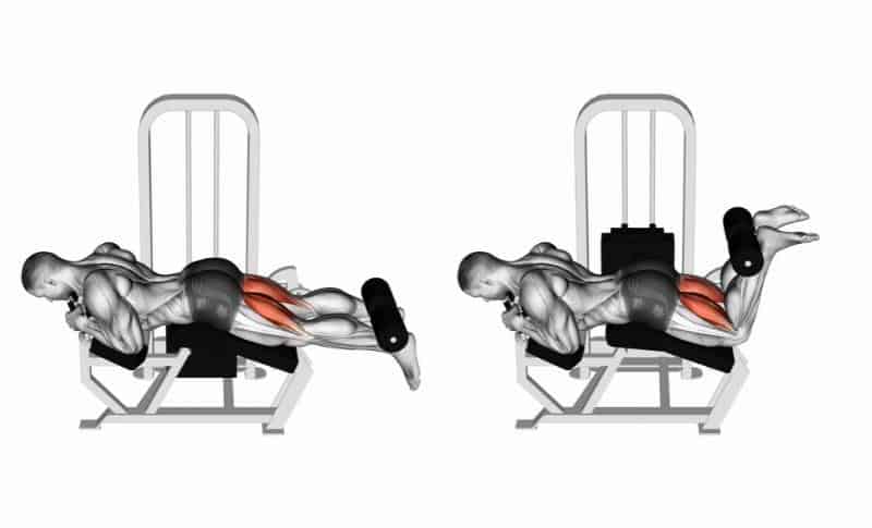 Meilleurs exercices pour les ischio-jambiers - Flexion des jambes en position allongée