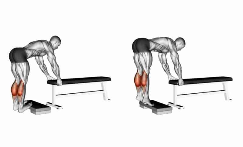 Meilleurs exercices pour les mollets - Elevation des mollets à l'aide d'un âne