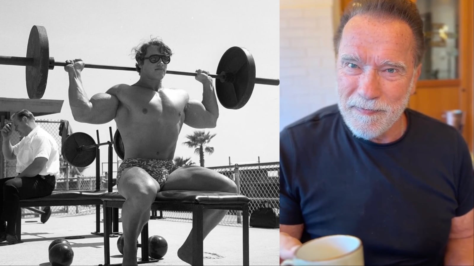 Arnold Schwarzenegger parle des avantages des oméga-3 et des multivitamines pour le développement musculaire – Fitness Volt