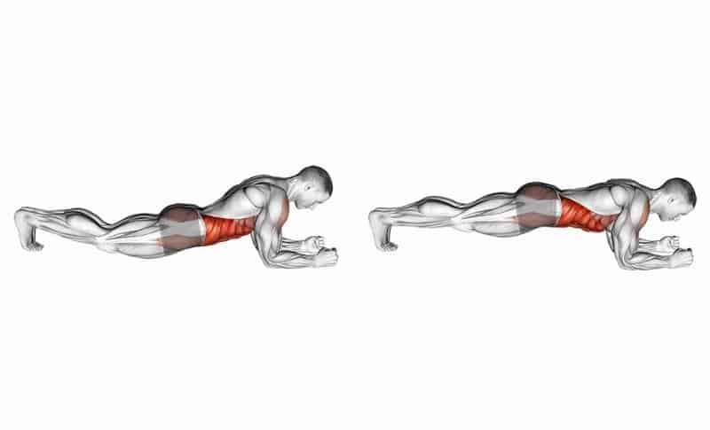 Meilleurs exercices pour les omoplates - Position allongée modifiée