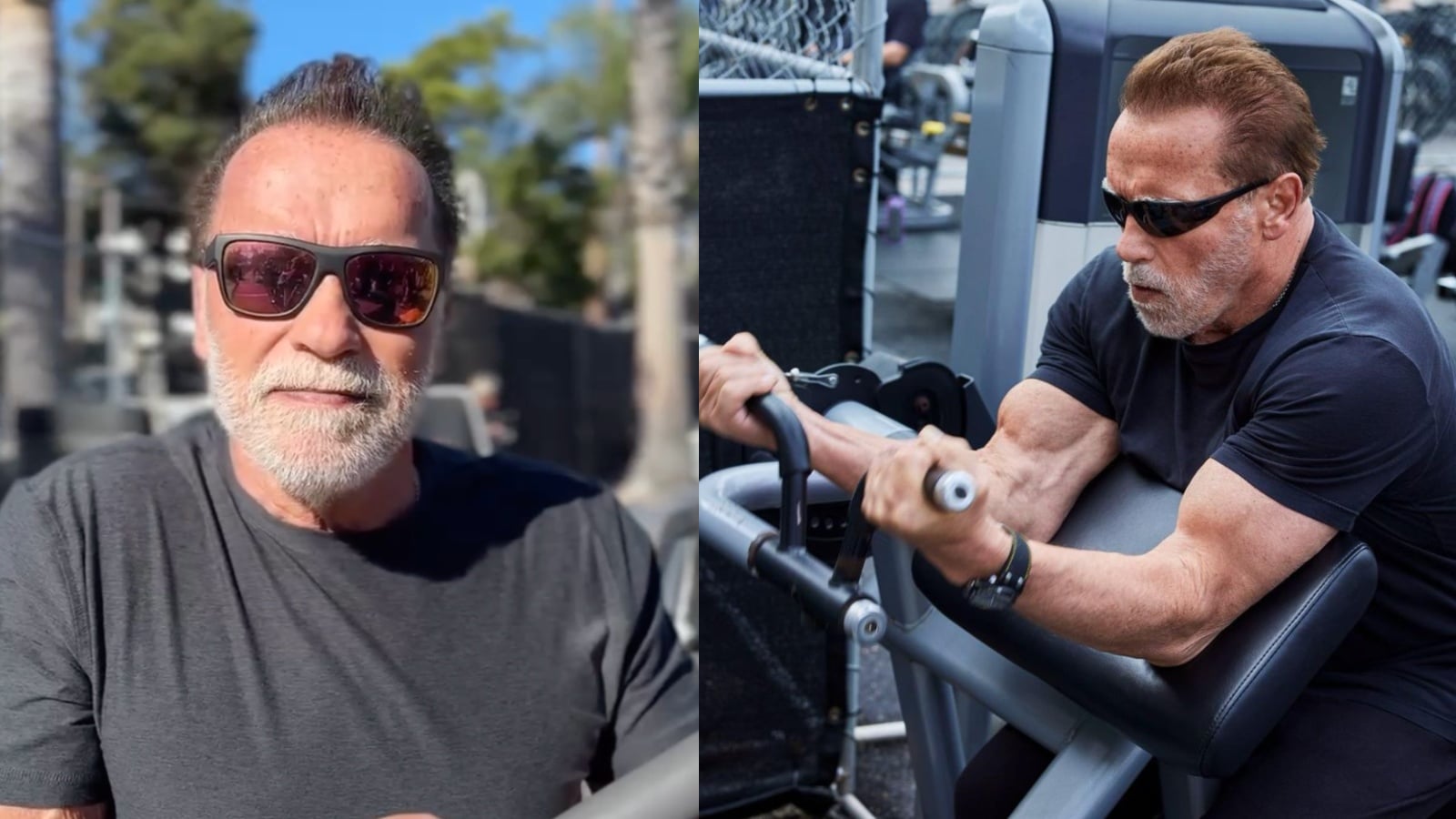 Arnold Schwarzenegger compare les avantages de la ROM complète et des répétitions partielles pour le développement musculaire – Fitness Volt