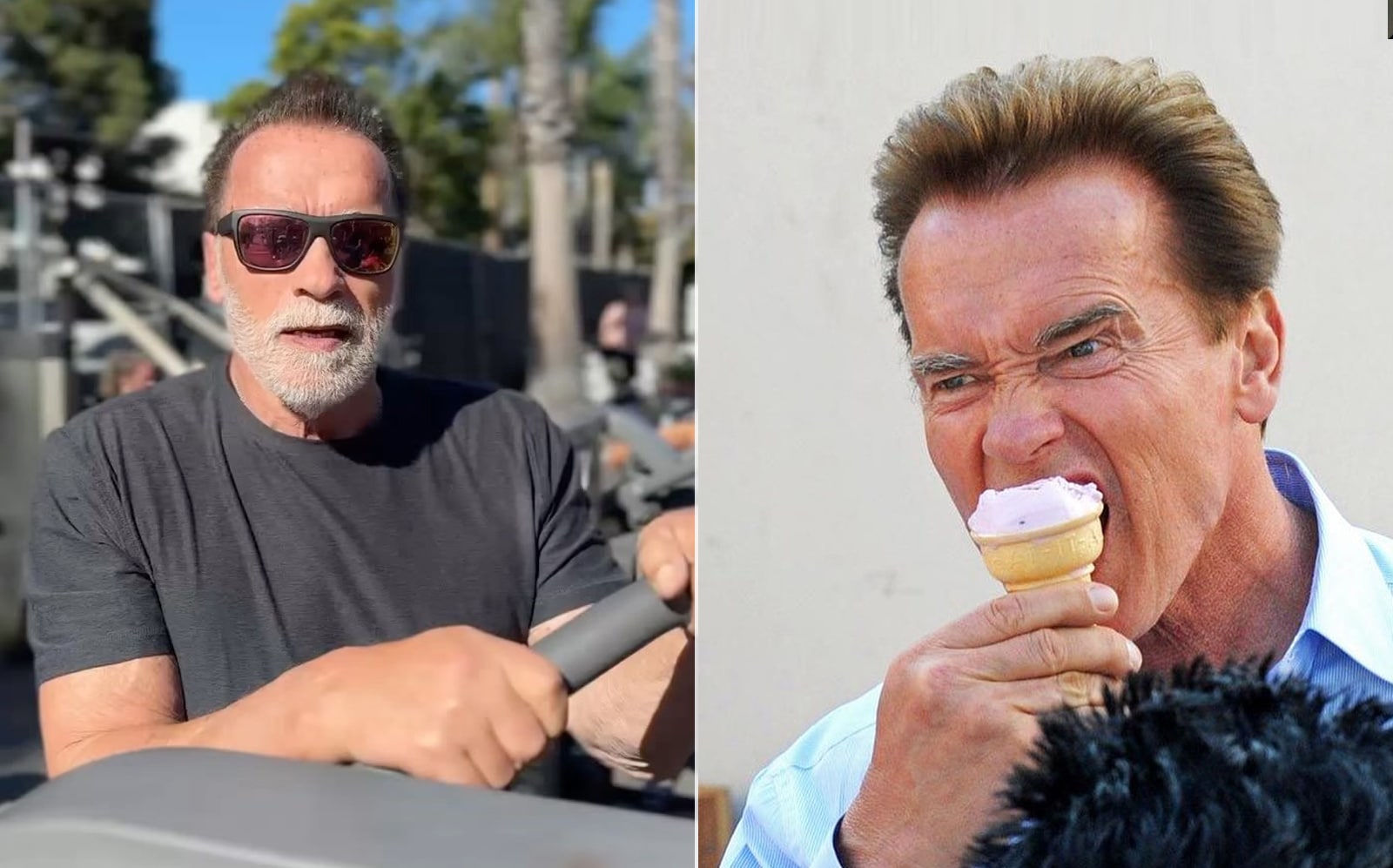 Arnold Schwarzenegger dévoile son plan « anti-régime » pour une meilleure perte de poids – Fitness Volt