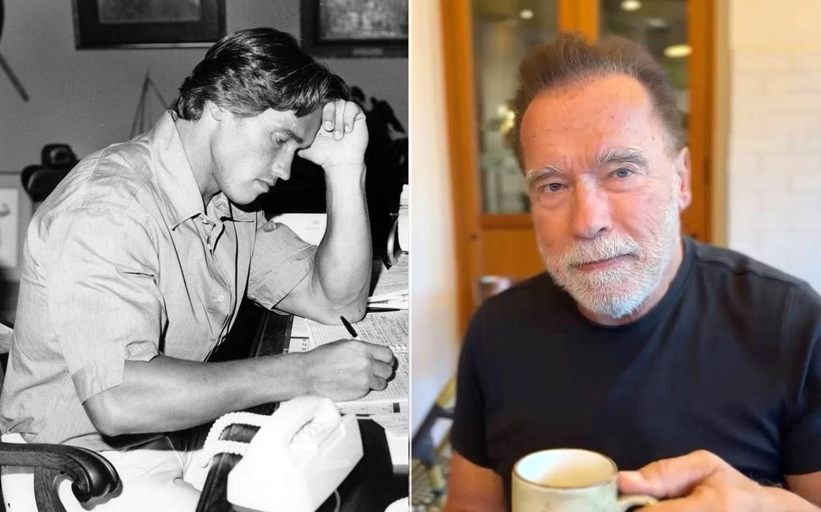 Privé de sommeil ?  Essayez l'astuce de créatine pour stimuler le cerveau d'Arnold Schwarzenegger – Fitness Volt