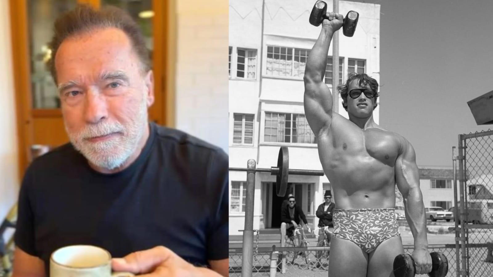 Arnold Schwarzenegger, légende du bodybuilding, se demande si la créatine vous fait gonfler