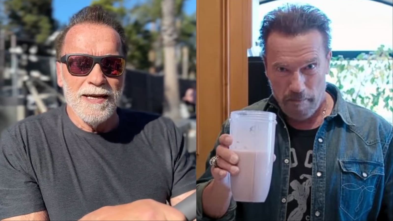 Arnold Schwarzenegger révèle si la poudre de protéines végétales offre les mêmes avantages en termes de développement musculaire que la lactosérum – Fitness Volt