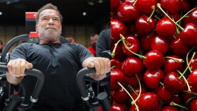 Arnold Schwarzenegger révèle si manger des cerises avant l'exercice améliore la récupération après l'entraînement