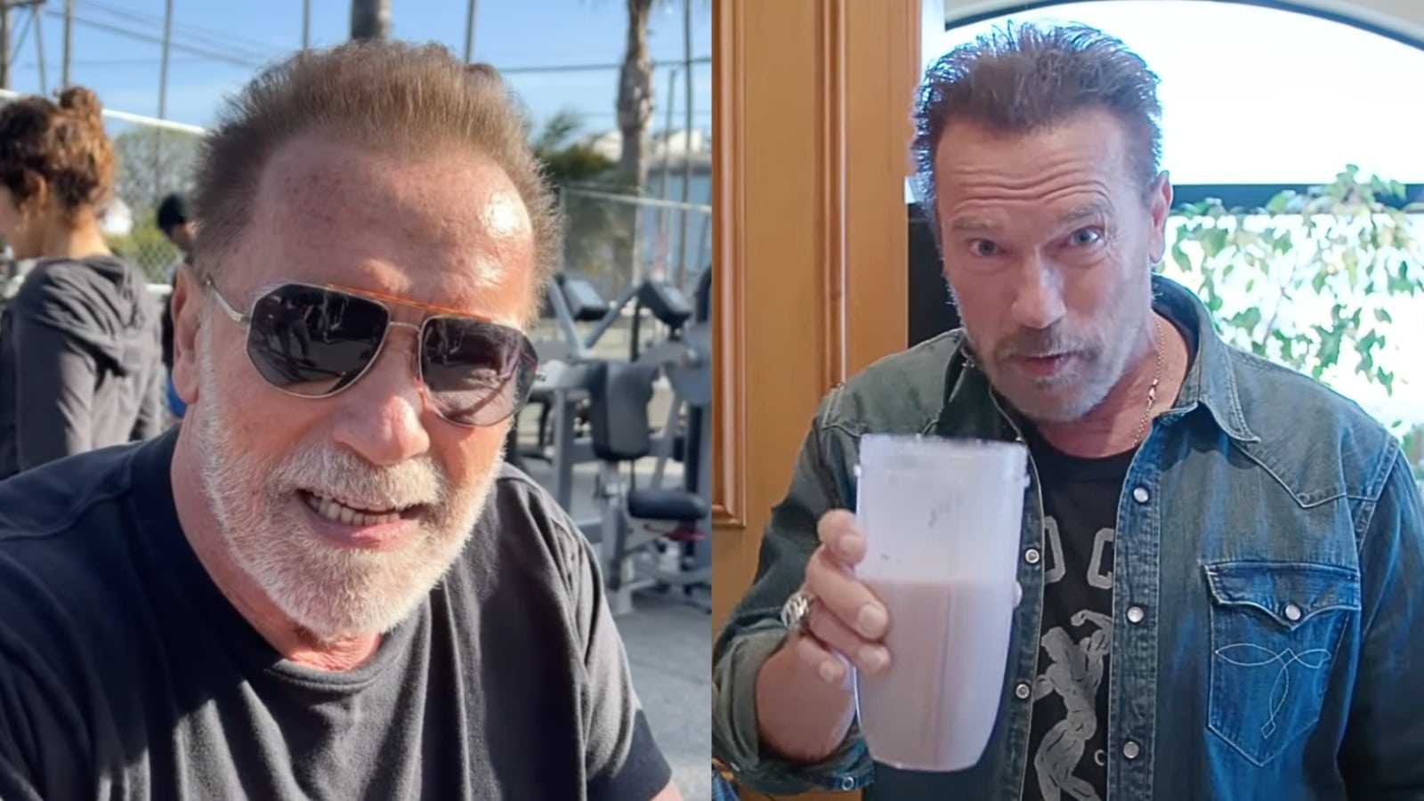 Arnold Schwarzenegger révèle si la supplémentation en BCAA est surestimée ou sous-estimée pour la croissance musculaire – Fitness Volt