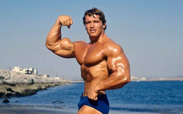 Arnold Schwarzenegger posant