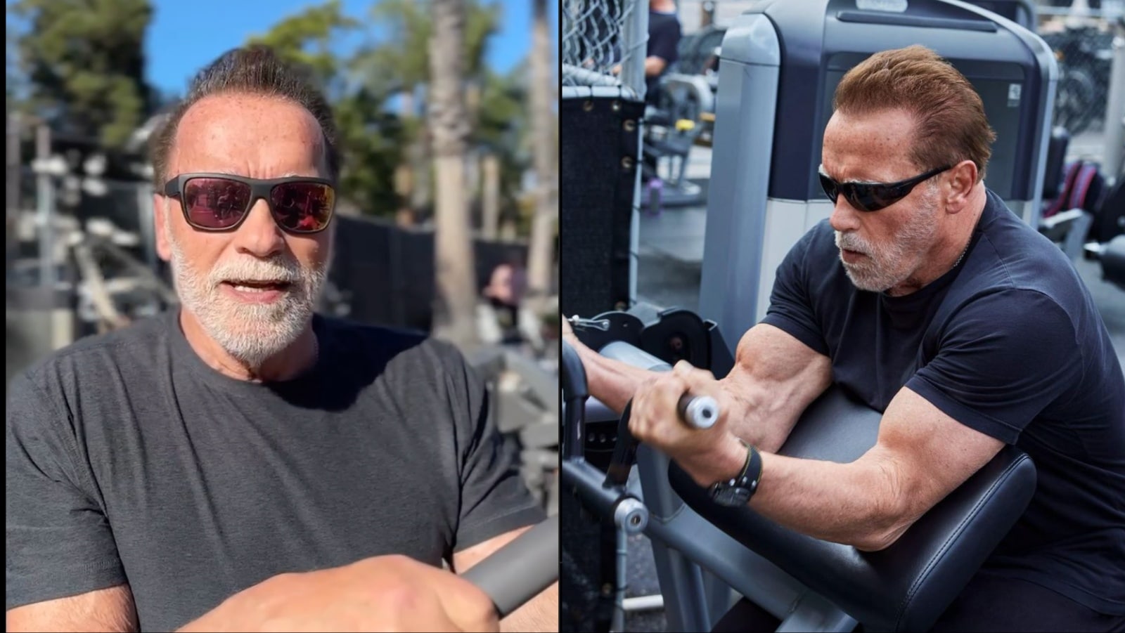 Arnold Schwarzenegger révèle si les décharges améliorent les performances d'entraînement et aident à développer les muscles – Fitness Volt