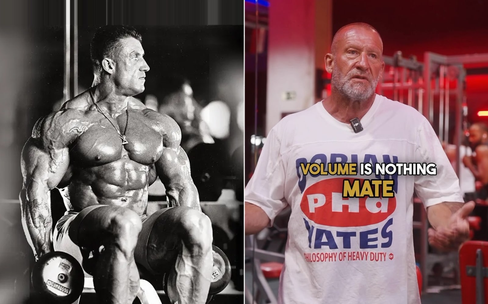 Dorian Yates déclare : « Le volume n'est rien » : « Tirez le meilleur parti de cet ensemble et vous obtiendrez une croissance » – Fitness Volt