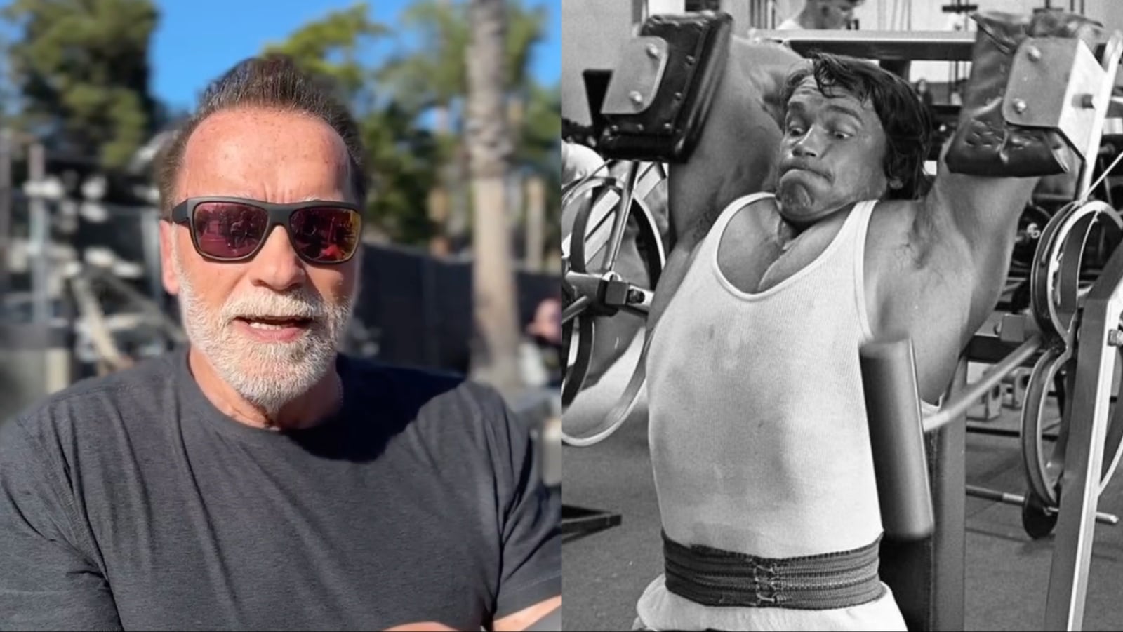 Arnold Schwarzenegger dit « Arrêtez de courir après les courbatures » après les séances d’entraînement, et affirme que ce n’est pas un « indicateur de croissance musculaire » – Fitness Volt