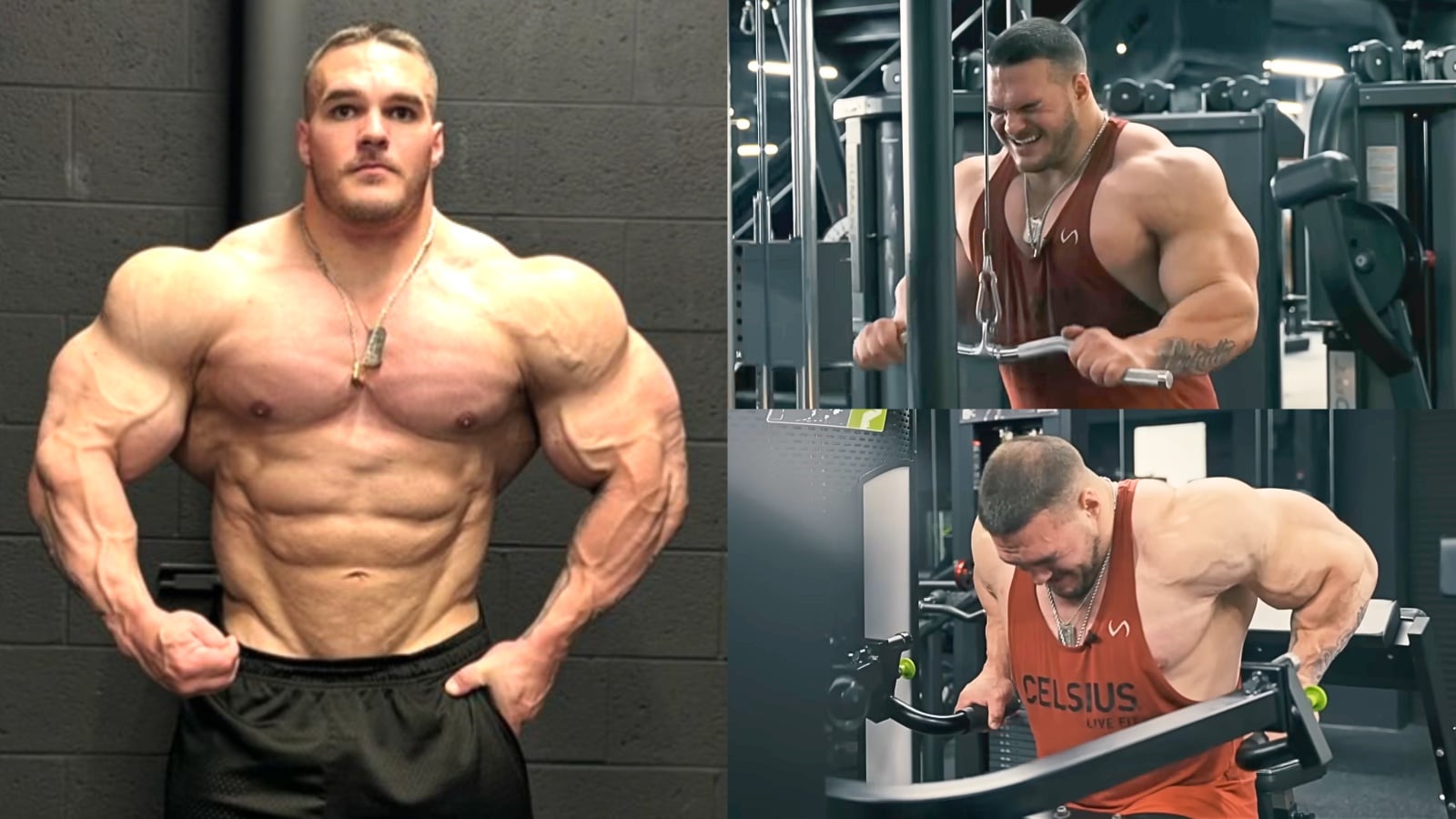 Le culturiste Nick Walker démolit l'entraînement Push Day 12 semaines avant 2024 Mr. Olympia – Fitness Volt