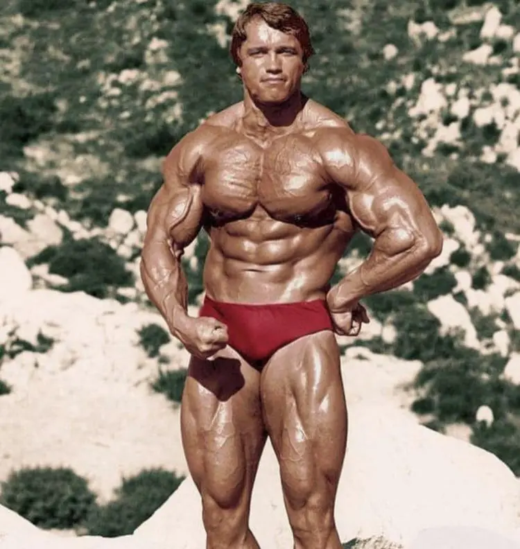 Arnold Schwarzenegger