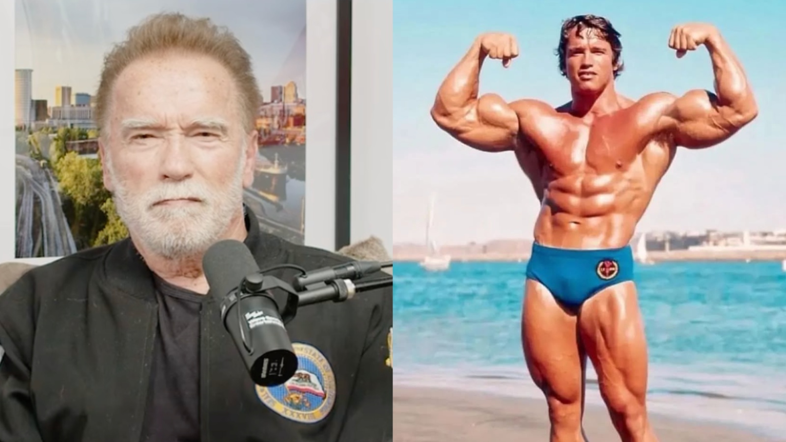 Arnold Schwarzenegger révèle que monter les escaliers peut être « tout aussi efficace » que les machines d'entraînement en résistance pour développer la puissance et le VO2 Max – Fitness Volt