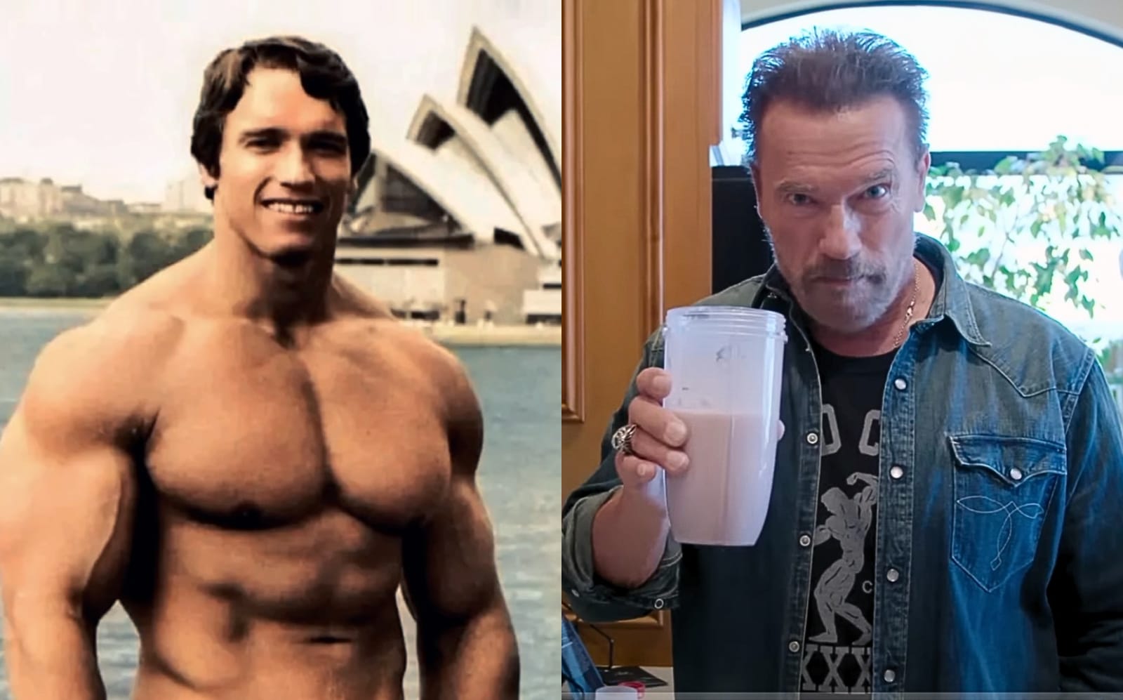 Arnold Schwarzenegger explique comment les boissons protéinées peuvent vous aider à atteindre vos objectifs de perte de poids – Fitness Volt