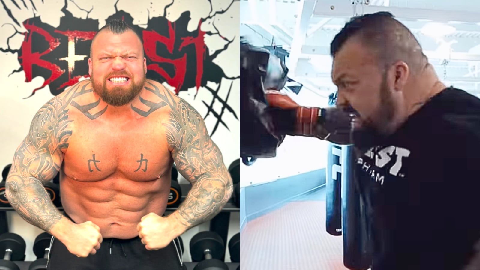 L'homme fort Eddie Hall bat le record de frappe du champion de l'UFC Alex Pereira sur machine - Fitness Volt