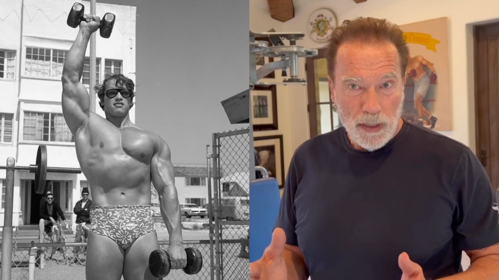 Arnold Schwarzenegger explique si la construction musculaire est différente entre les hommes et les femmes et pourquoi vous devriez ajouter des protéines à votre petit-déjeuner – Fitness Volt