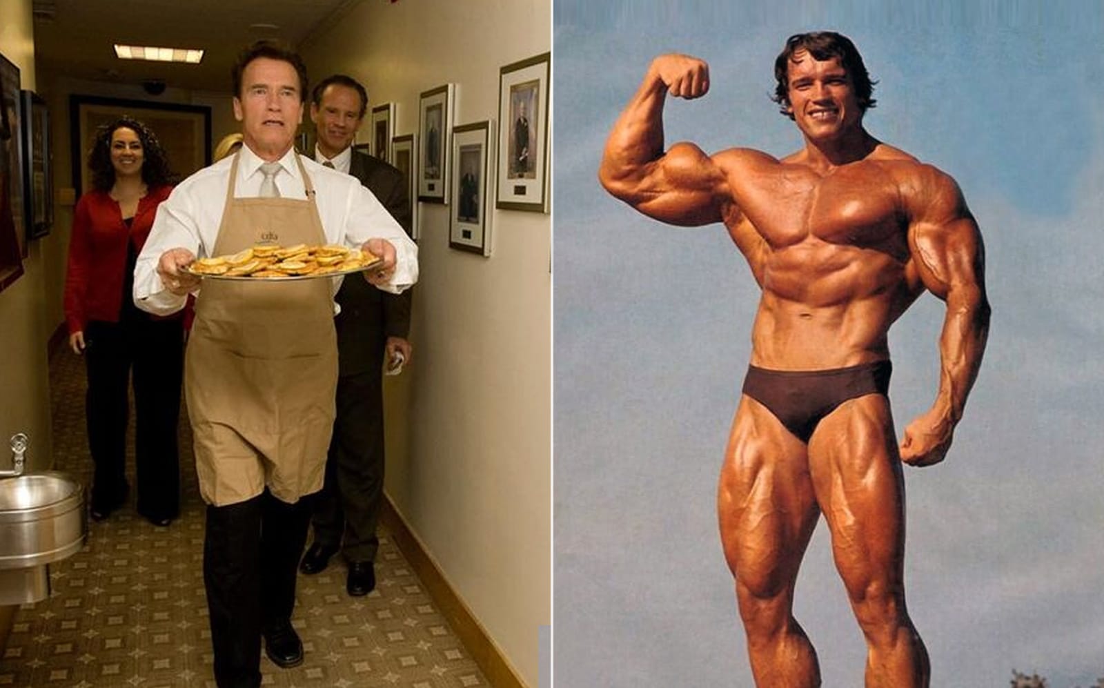 Arnold Schwarzenegger explique si vous devez ajouter des glucides aux repas après l'entraînement – ​​Fitness Volt