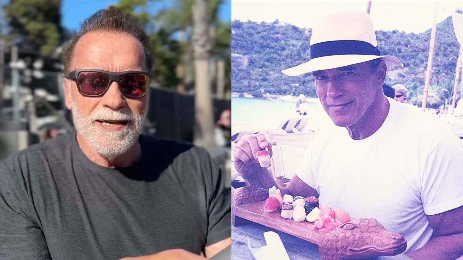 Arnold Schwarzenegger présente un cadre alimentaire pour améliorer la longévité et « combattre les maladies » sans éliminer des groupes alimentaires entiers – Fitness Volt