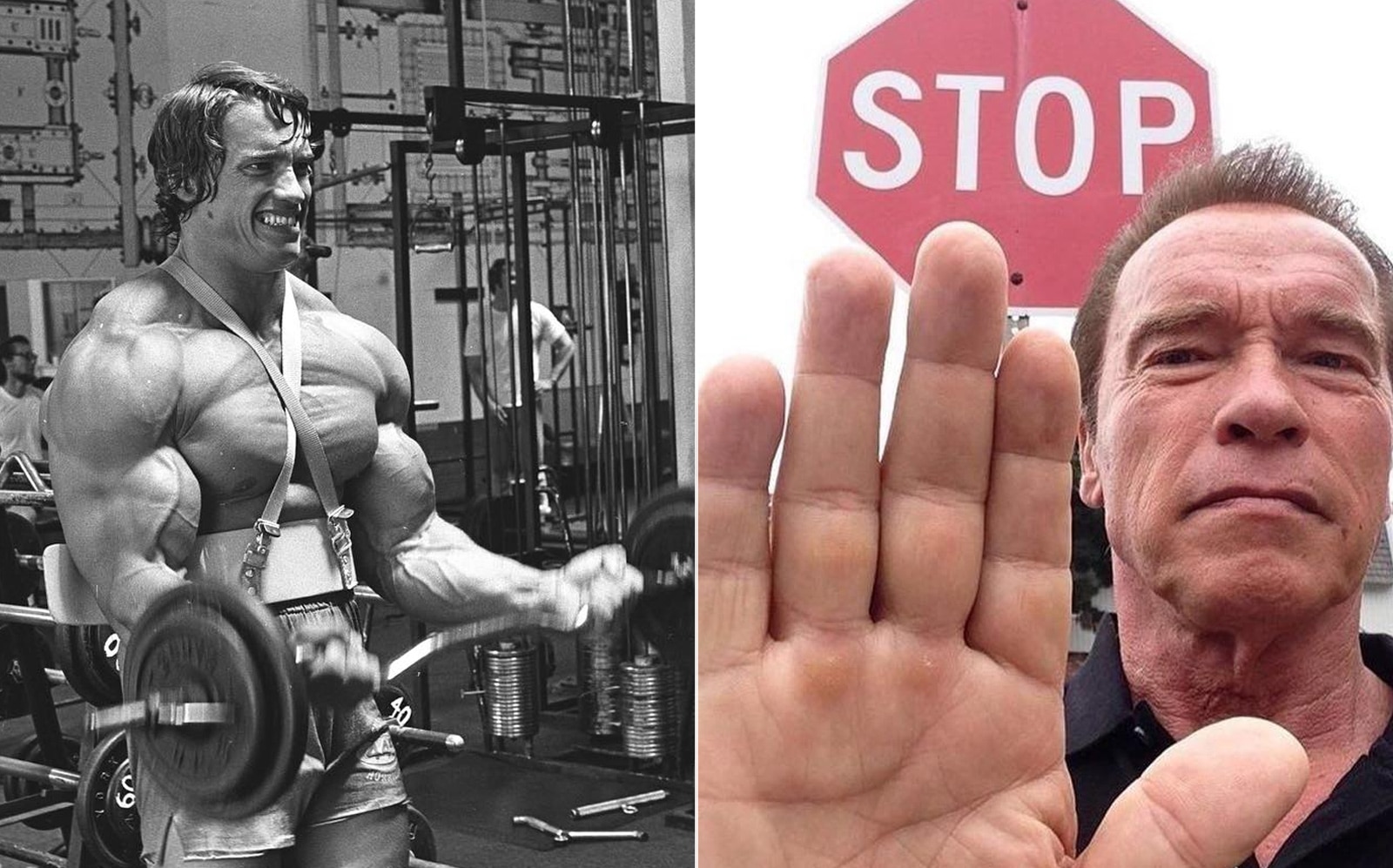 Arnold Schwarzenegger dit de ne pas « copier » l'entraînement de qui que ce soit et explique comment corriger les « points faibles » physiques – Fitness Volt