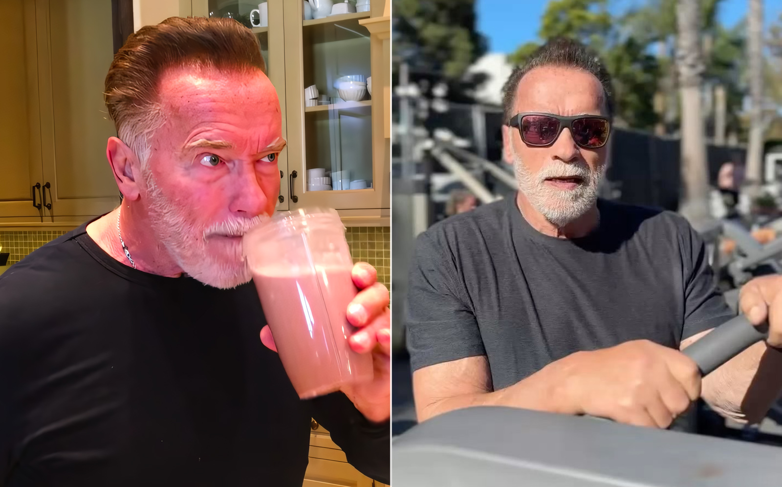 Plus de protéines, plus d’années ? Découvrez les informations d’Arnold Schwarzenegger lui-même – Fitness Volt