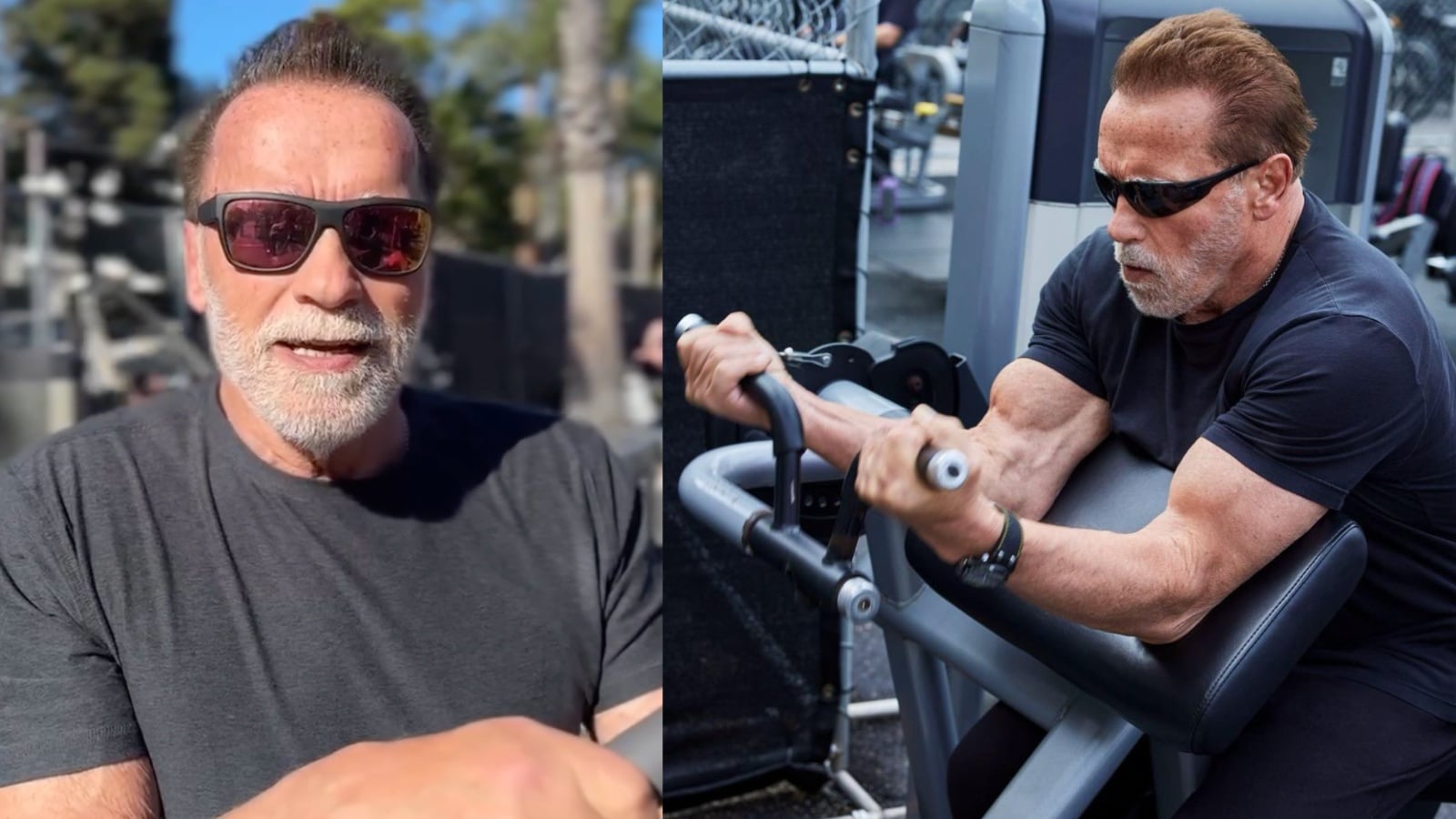 Arnold Schwarzenegger affirme que « l’entraînement en résistance de tout le corps » est un entraînement « supérieur » pour la perte de graisse – Fitness Volt