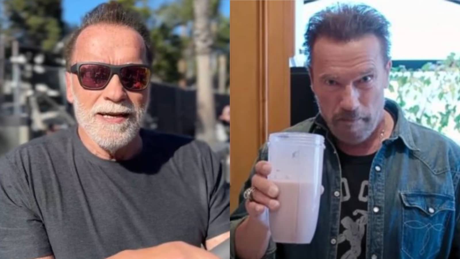 Arnold Schwarzenegger explique si la créatine peut aider à lutter contre le déclin cognitif et à rajeunir un « cerveau vieillissant » – Fitness Volt