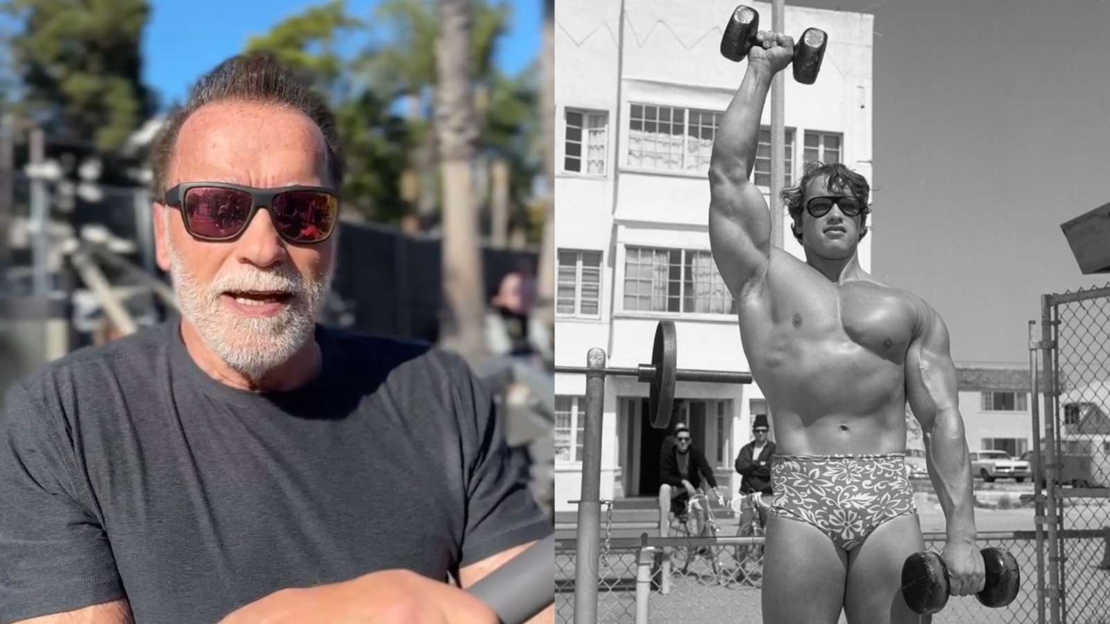 Arnold Schwarzenegger révèle comment le développement musculaire augmente votre capacité à brûler des calories – Fitness Volt