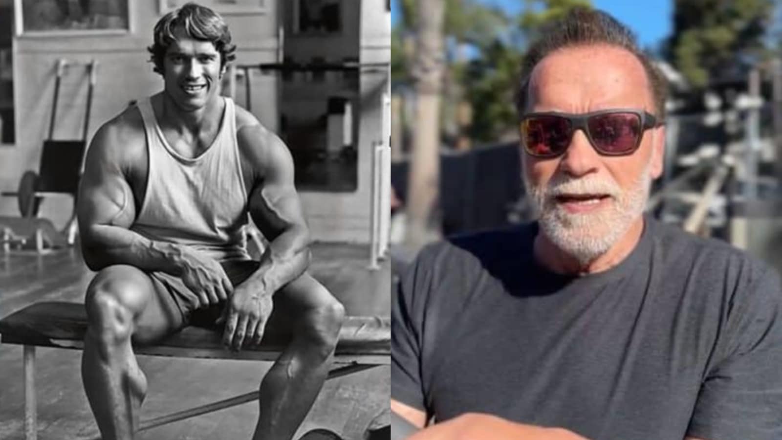 Arnold Schwarzenegger révèle si les étirements statiques ou le foam rolling offrent de meilleurs avantages en termes de flexibilité et d’amplitude de mouvement – ​​Fitness Volt