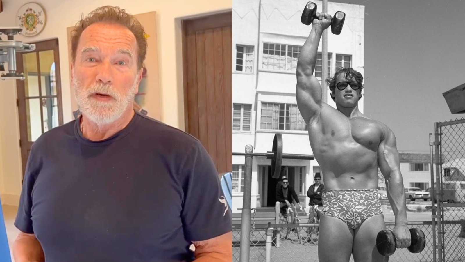 Arnold Schwarzenegger révèle si les poids libres sont meilleurs que les machines pour « la force, la croissance musculaire et les performances de saut » – Fitness Volt