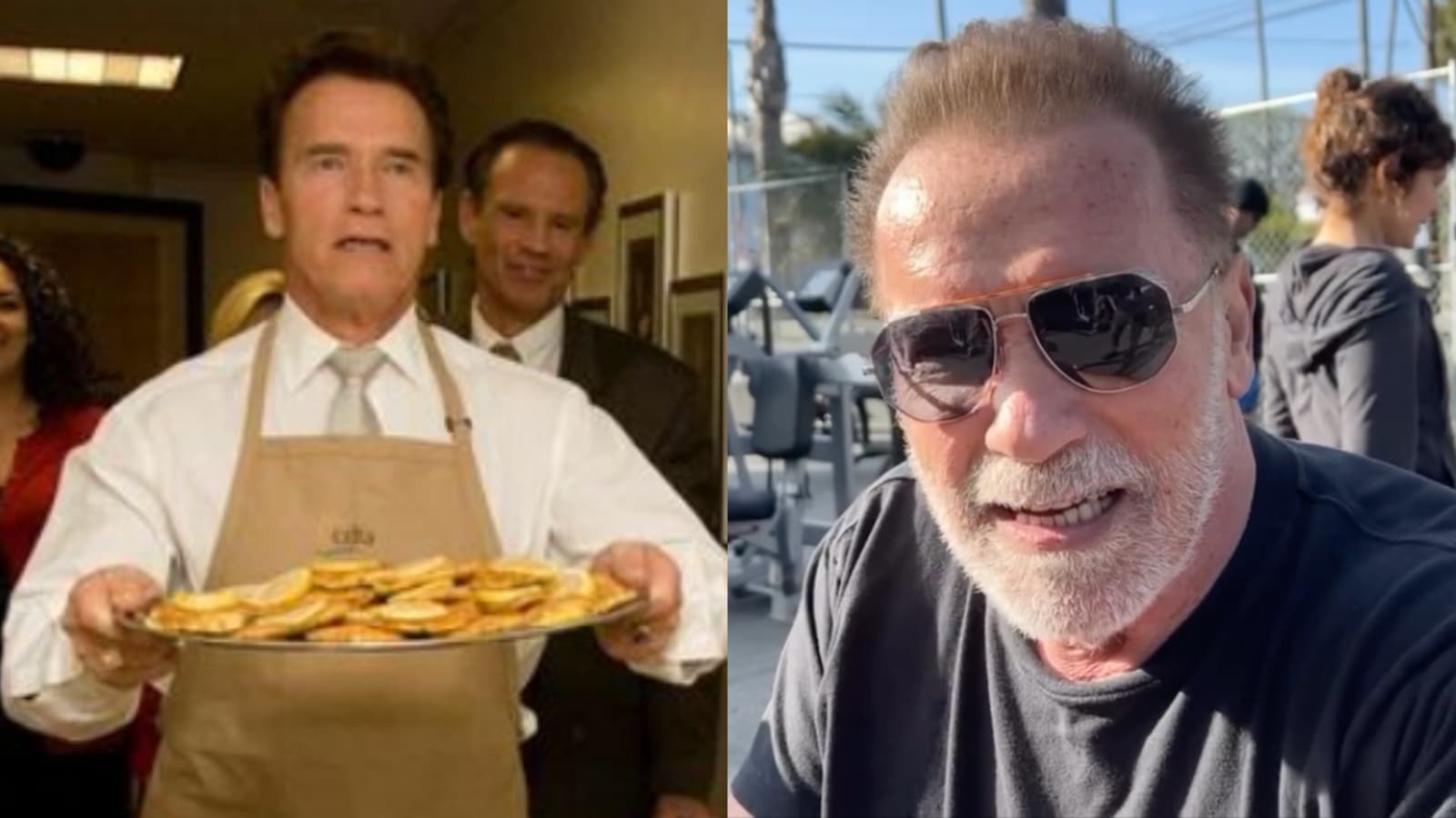 Arnold Schwarzenegger révèle si vous devez réduire les glucides ou le sucre pour une perte de graisse optimale – Fitness Volt