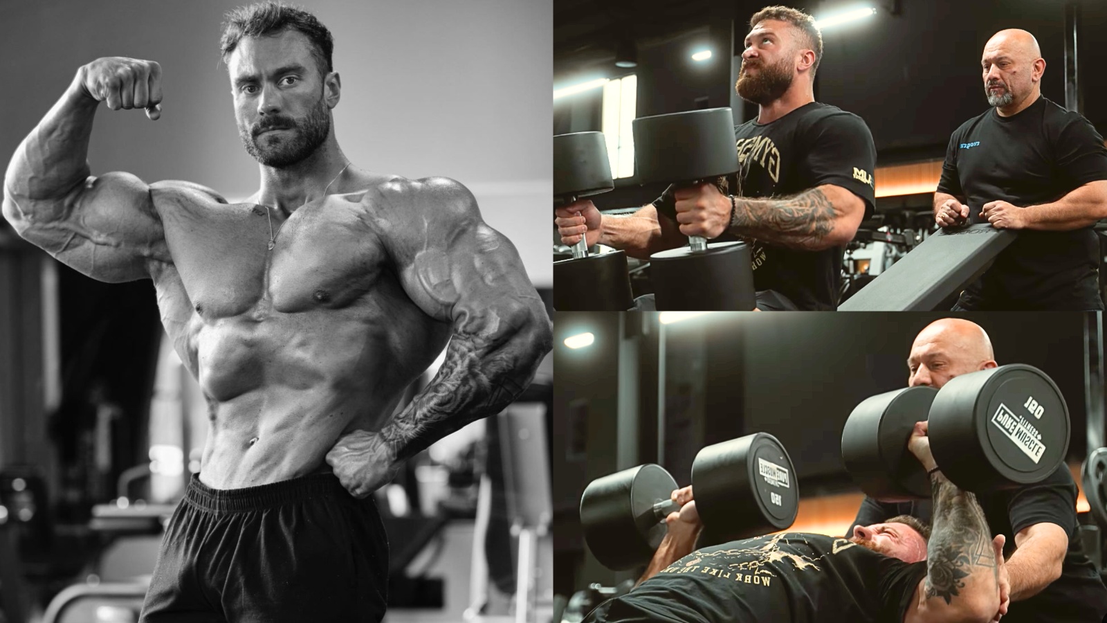 Chris Bumstead détruit un développé couché incliné de 150 livres avec haltères pour les répétitions en préparation pour Mr. Olympia 2024 – Fitness Volt