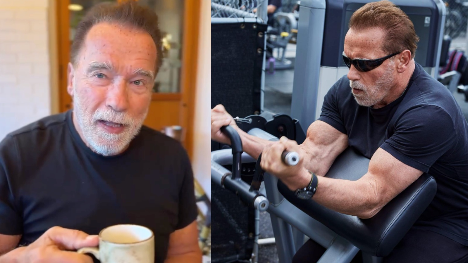 Boissons énergisantes ou café pour booster ses performances ? Arnold Schwarzenegger nous donne son avis sur la meilleure option – Fitness Volt