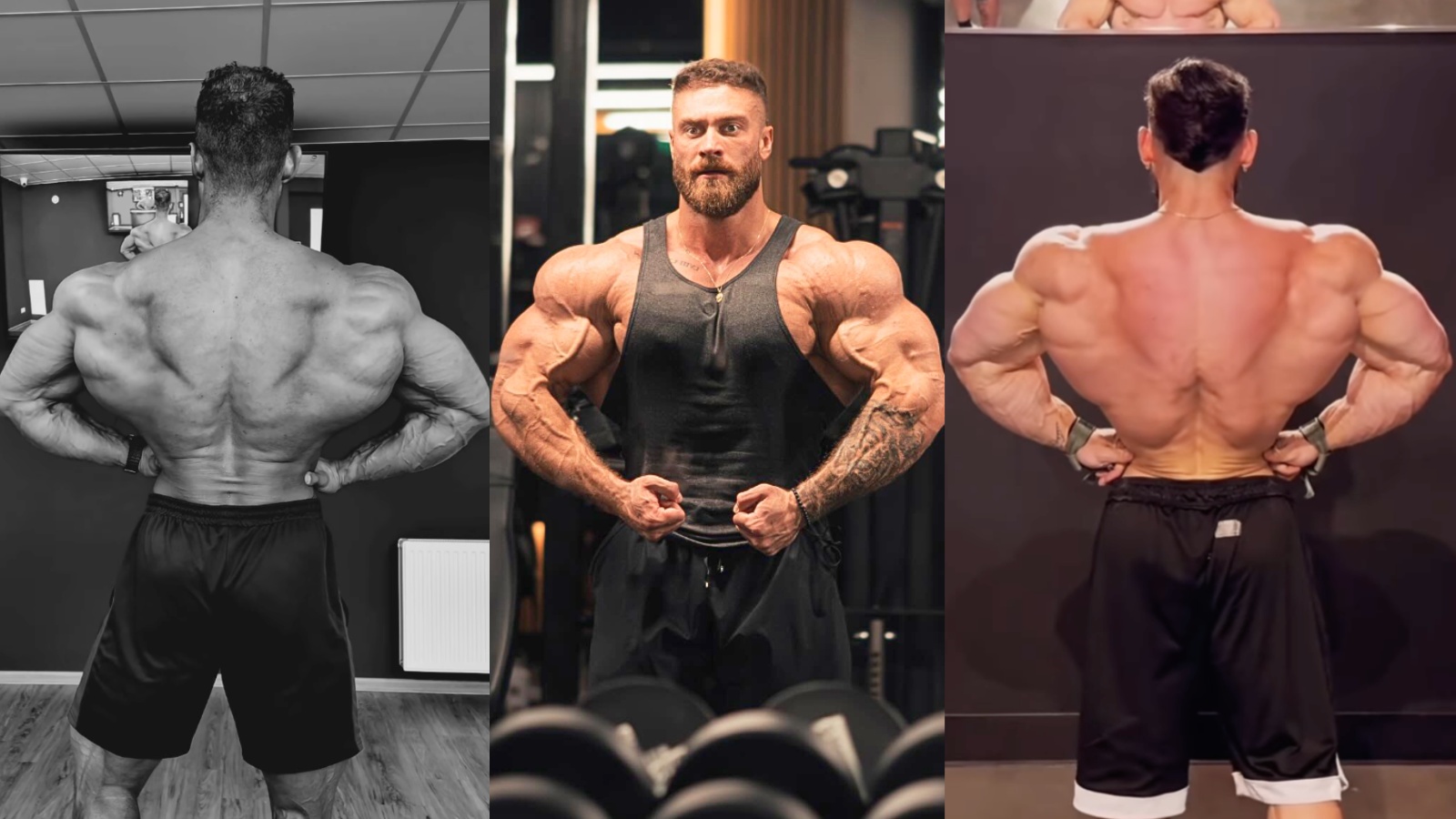 Chris Bumstead, Wesley Vissers et Ramon Queiroz partagent les mises à jour de Shredded Physique à 4,5 semaines de 2024 Mr. Olympia – Fitness Volt