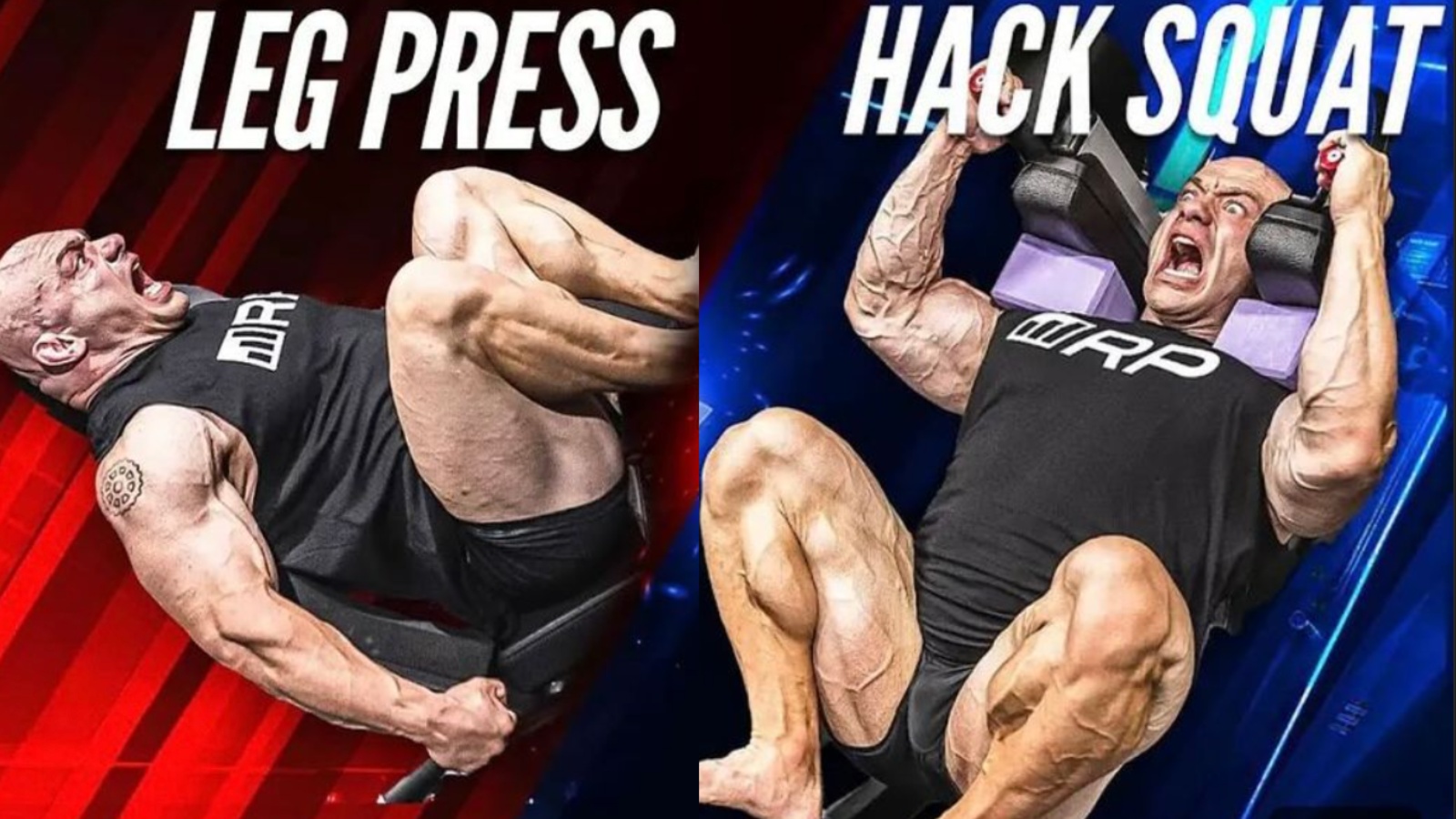 Découvrez si la presse à jambes ou les hack squats sont plus efficaces pour la croissance musculaire avec ce guide basé sur la science – Fitness Volt